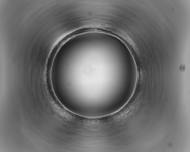 X0000091091020200708131315