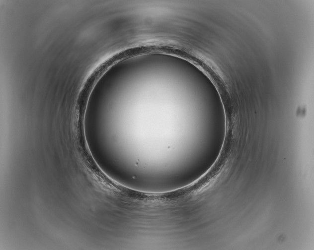 X0000091091021200708131315