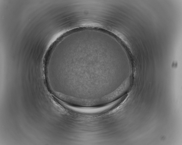 X0000091091022200708131315