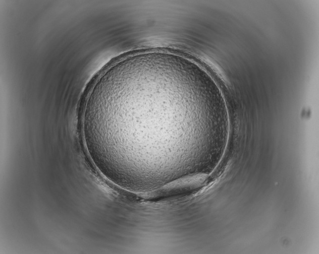X0000091091023200708131315