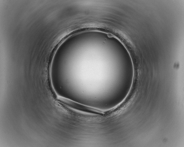 X0000091091025200708131315
