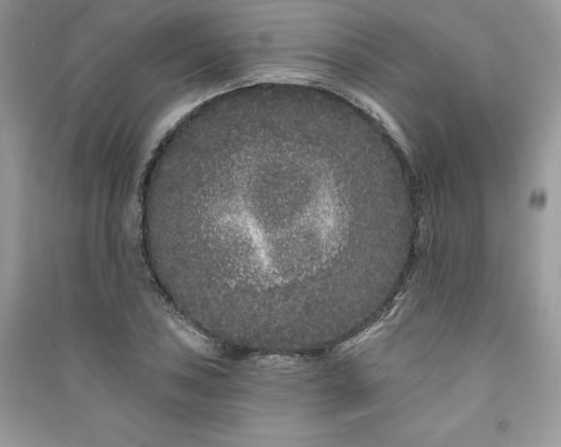 X0000091091027200708131315