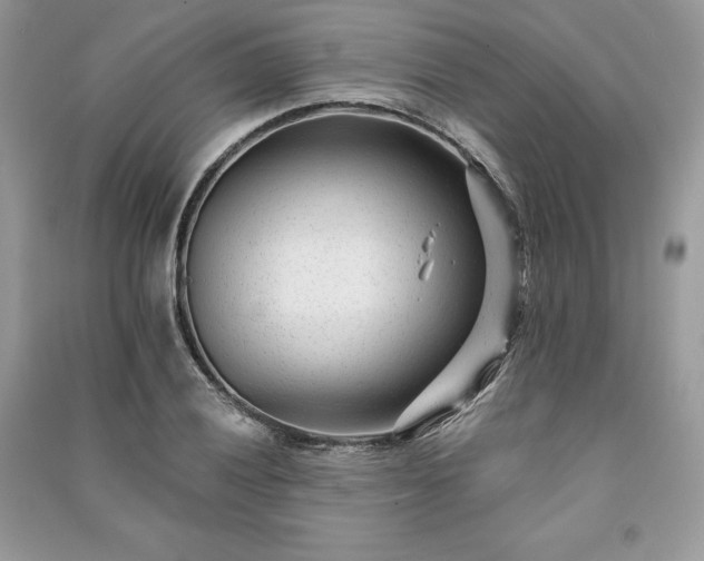 X0000091091028200708131315