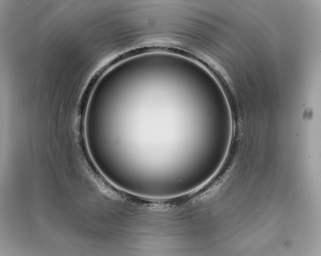 X0000091091029200708131315