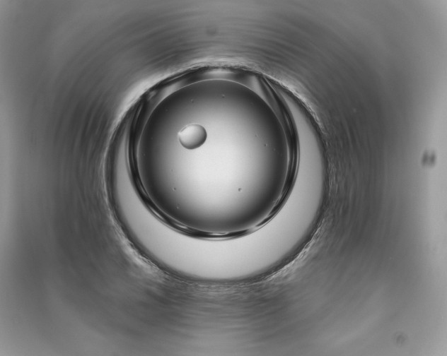 X0000091091030200708131315