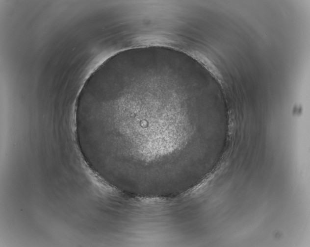 X0000091091031200708131315