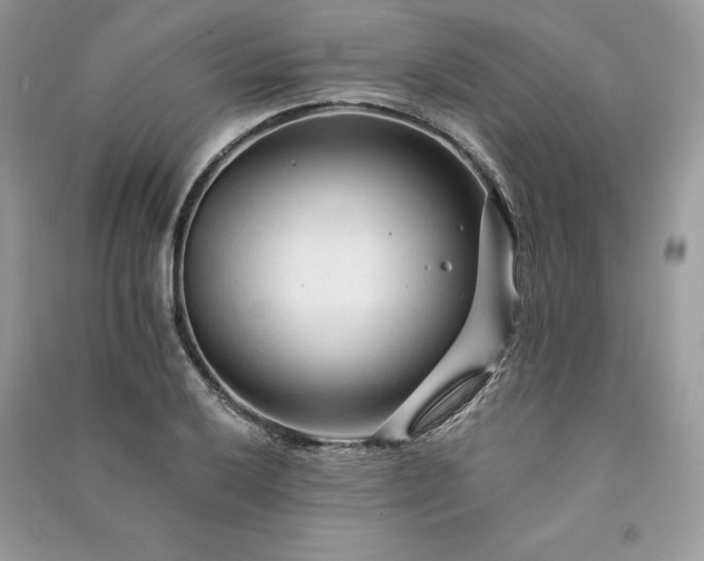 X0000091091032200708131315