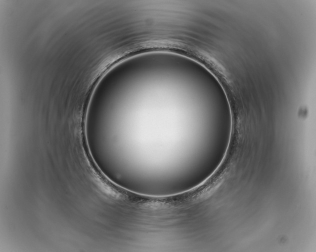 X0000091091033200708131315