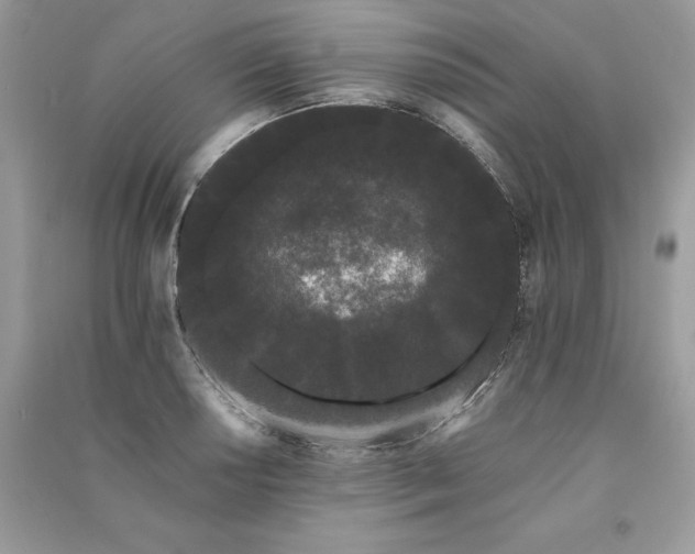 X0000091091034200708131315
