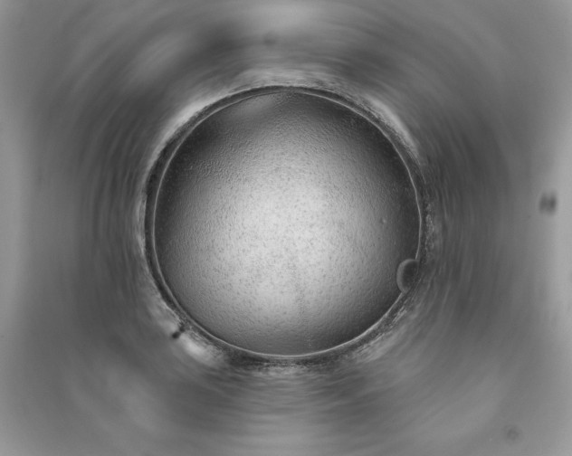 X0000091091035200708131315