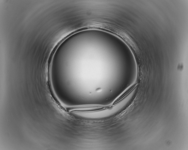 X0000091091036200708131315
