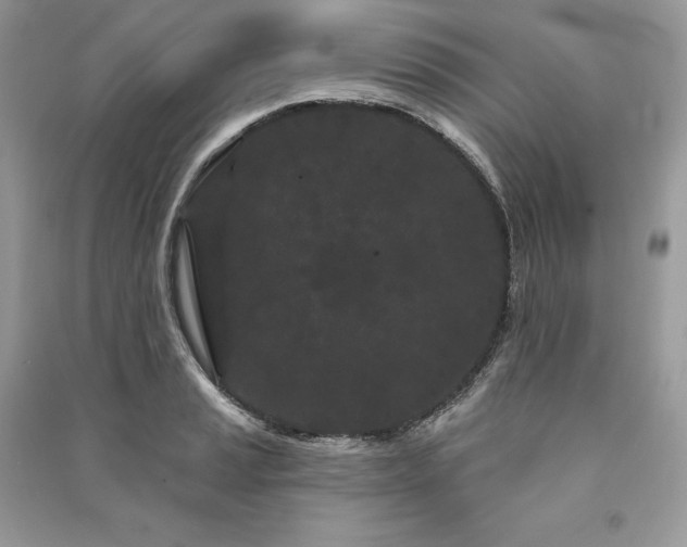 X0000091091037200708131315