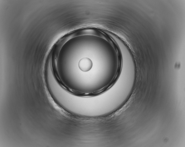 X0000091091038200708131315