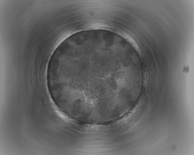 X0000091091039200708131315