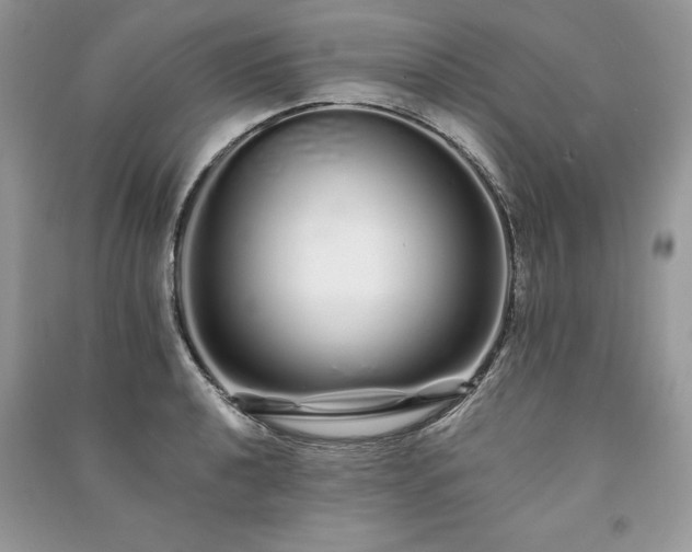 X0000091091040200708131315