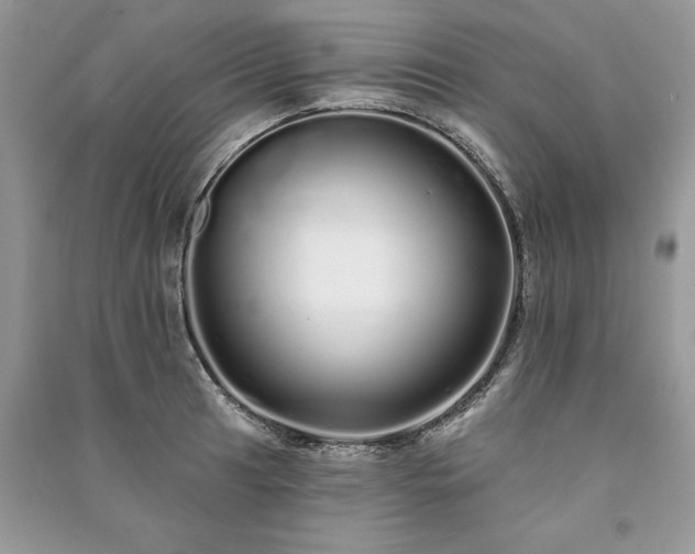 X0000091091041200708131315