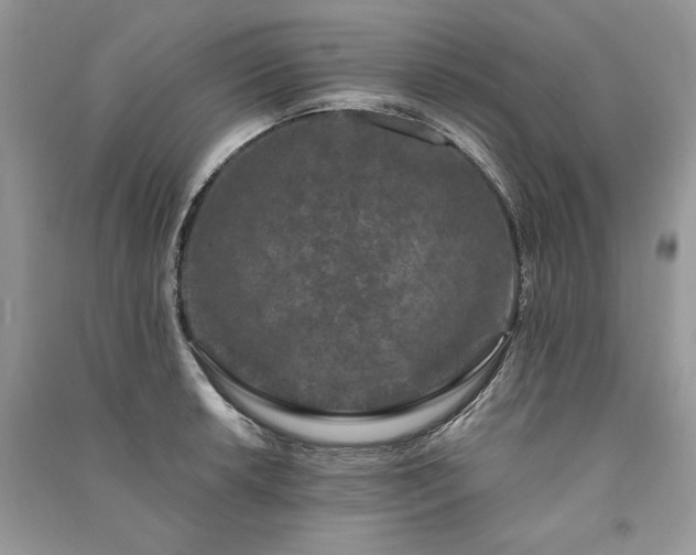 X0000091091042200708131315