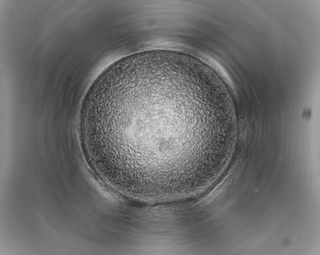 X0000091091043200708131315
