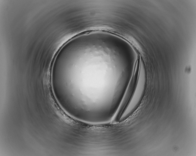 X0000091091044200708131315
