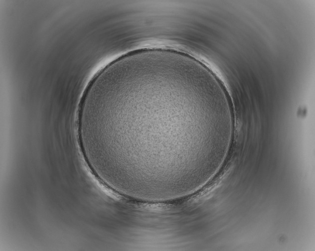 X0000091091045200708131315