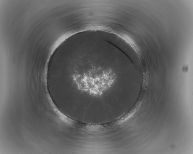 X0000091091046200708131315