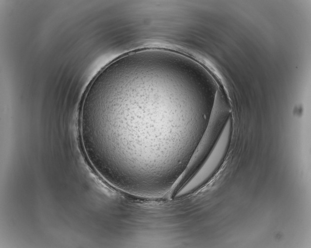X0000091091048200708131315