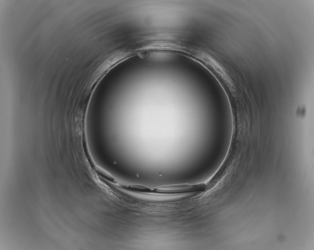 X0000091091049200708131315