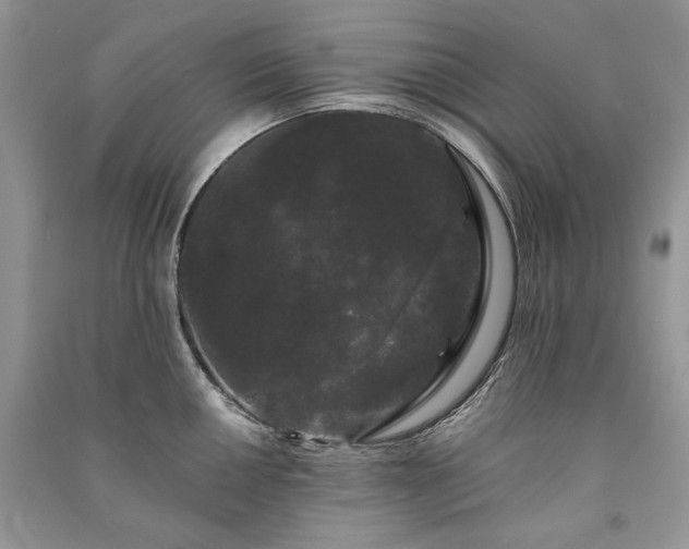 X0000091091050200708131315