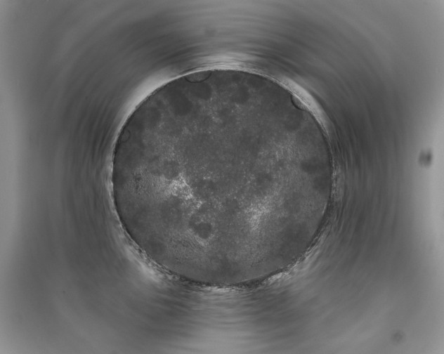 X0000091091051200708131315