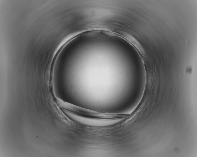 X0000091091052200708131315