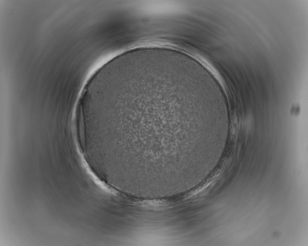 X0000091091053200708131315