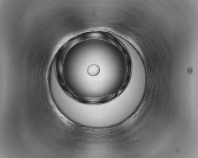 X0000091091054200708131315