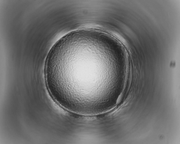 X0000091091055200708131315