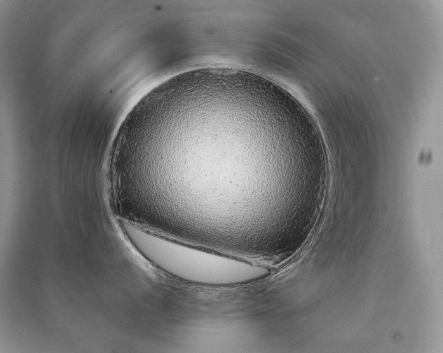 X0000091091056200708131315