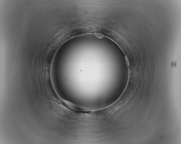 X0000091091058200708131314