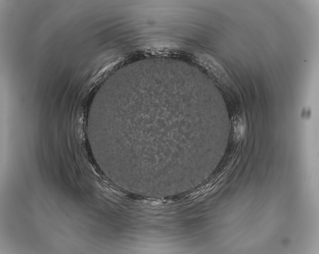 X0000091091060200708131314