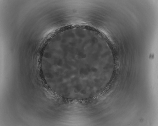 X0000091091063200708131314