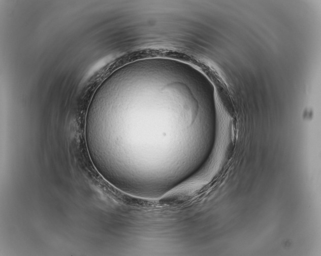 X0000091091064200708131314