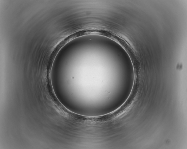X0000091091065200708131314