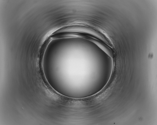 X0000091091066200708131314