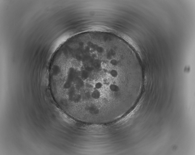 X0000091091067200708131314