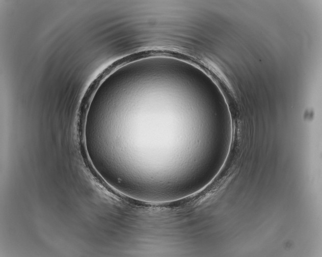 X0000091091068200708131314