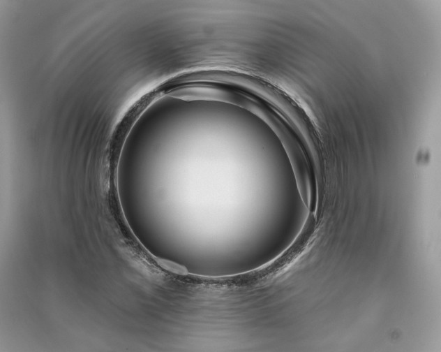 X0000091091069200708131314