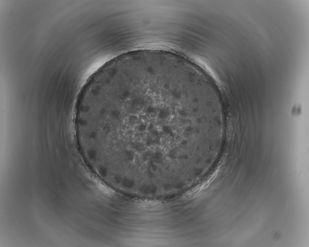 X0000091091071200708131314