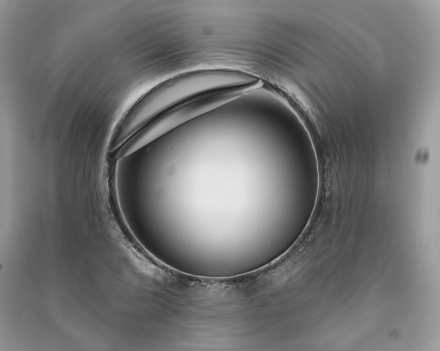 X0000091091072200708131314