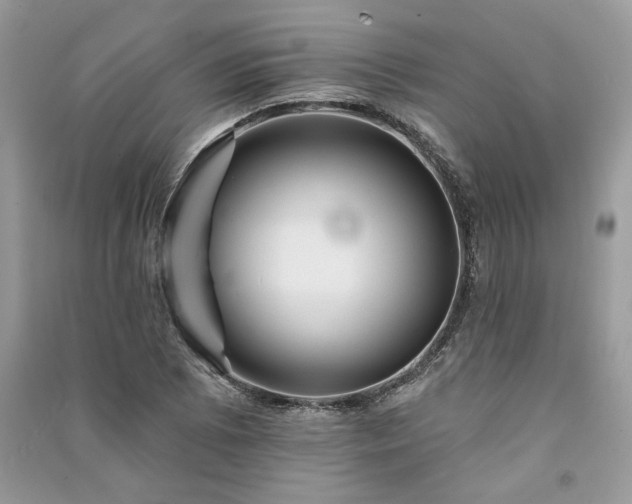 X0000091091073200708131314