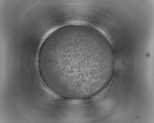 X0000091091074200708131314
