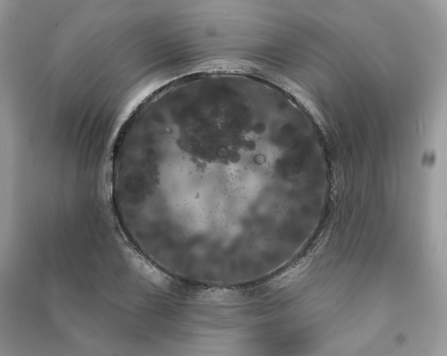 X0000091091075200708131314