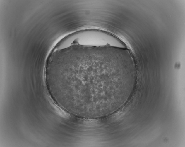 X0000091091076200708131314