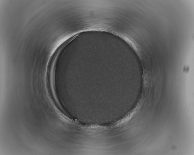 X0000091091077200708131314